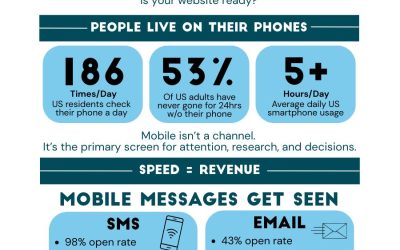 Mobile Website Facts Infographic